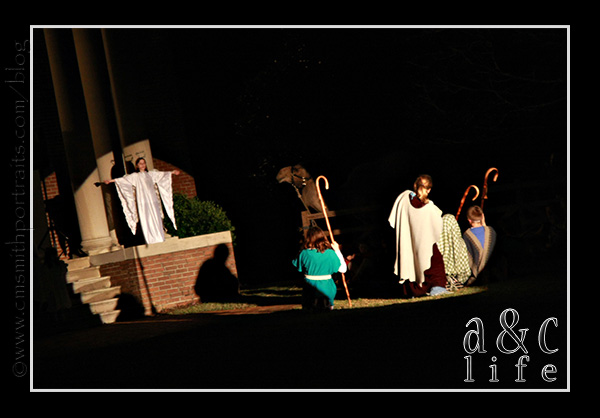 jesseblog-017 jesseblog-017